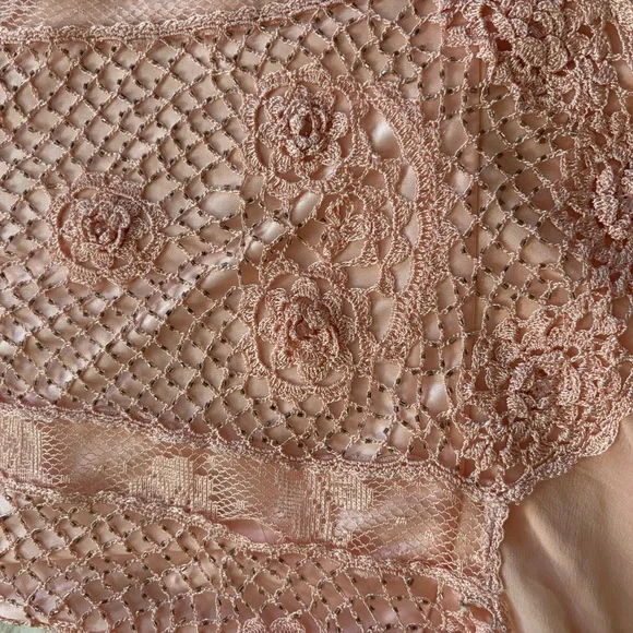 Sue Wong Peach Lace Dress - Picture 5 of 8